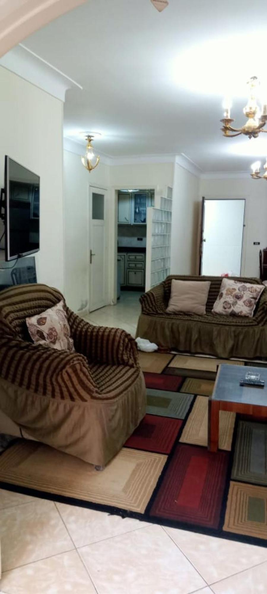 ميامي امام البوريفاج Alexandria
